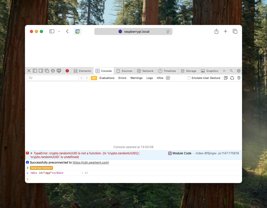 Connecting with a hostname and a port results in a blank page